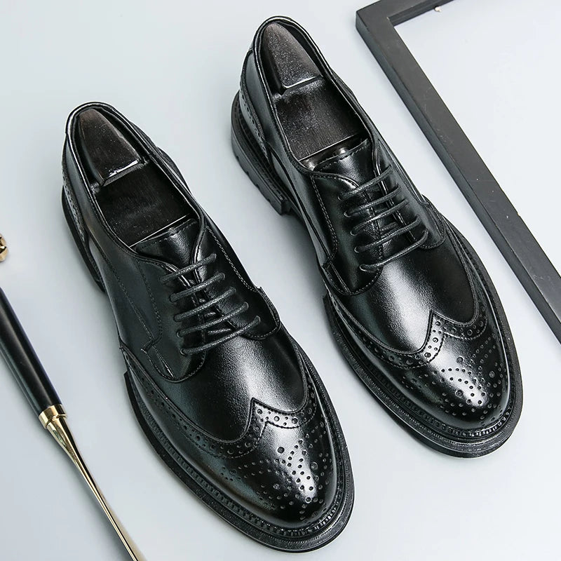 Calvoro Prestige Oxfords