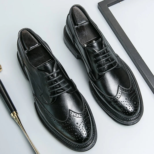 Calvoro Prestige Oxfords