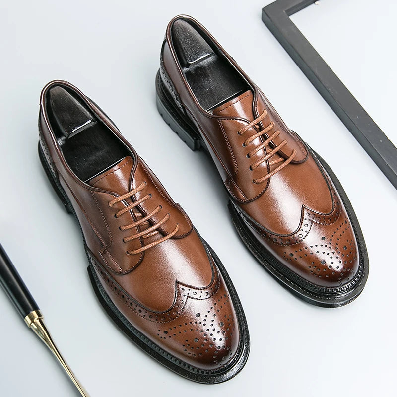 Calvoro Prestige Oxfords