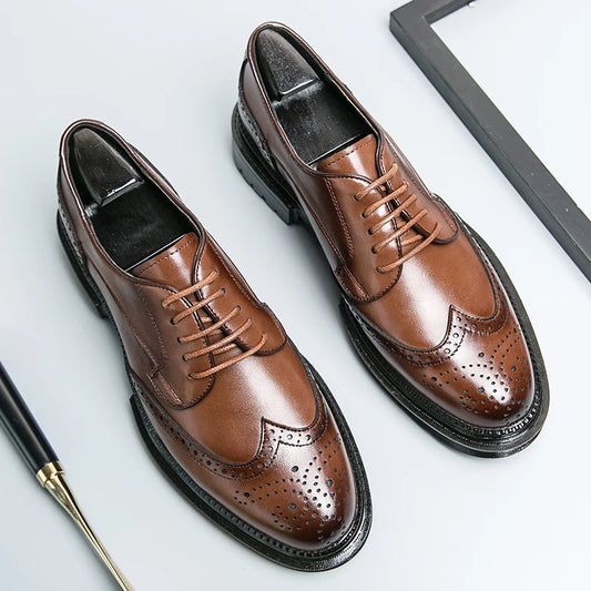 Calvoro Prestige Oxfords