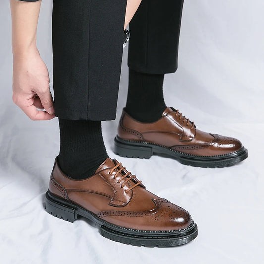 Calvoro Prestige Oxfords