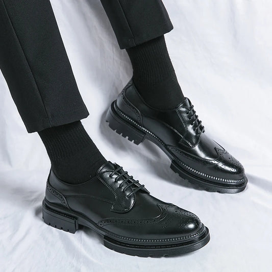 Calvoro Prestige Oxfords