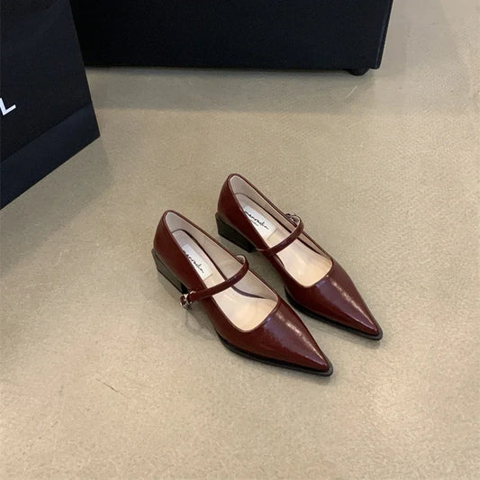 Retro Mary Jane Pumps for Women - Thick Heel, Pointed Toe, Elegant Office Shoes